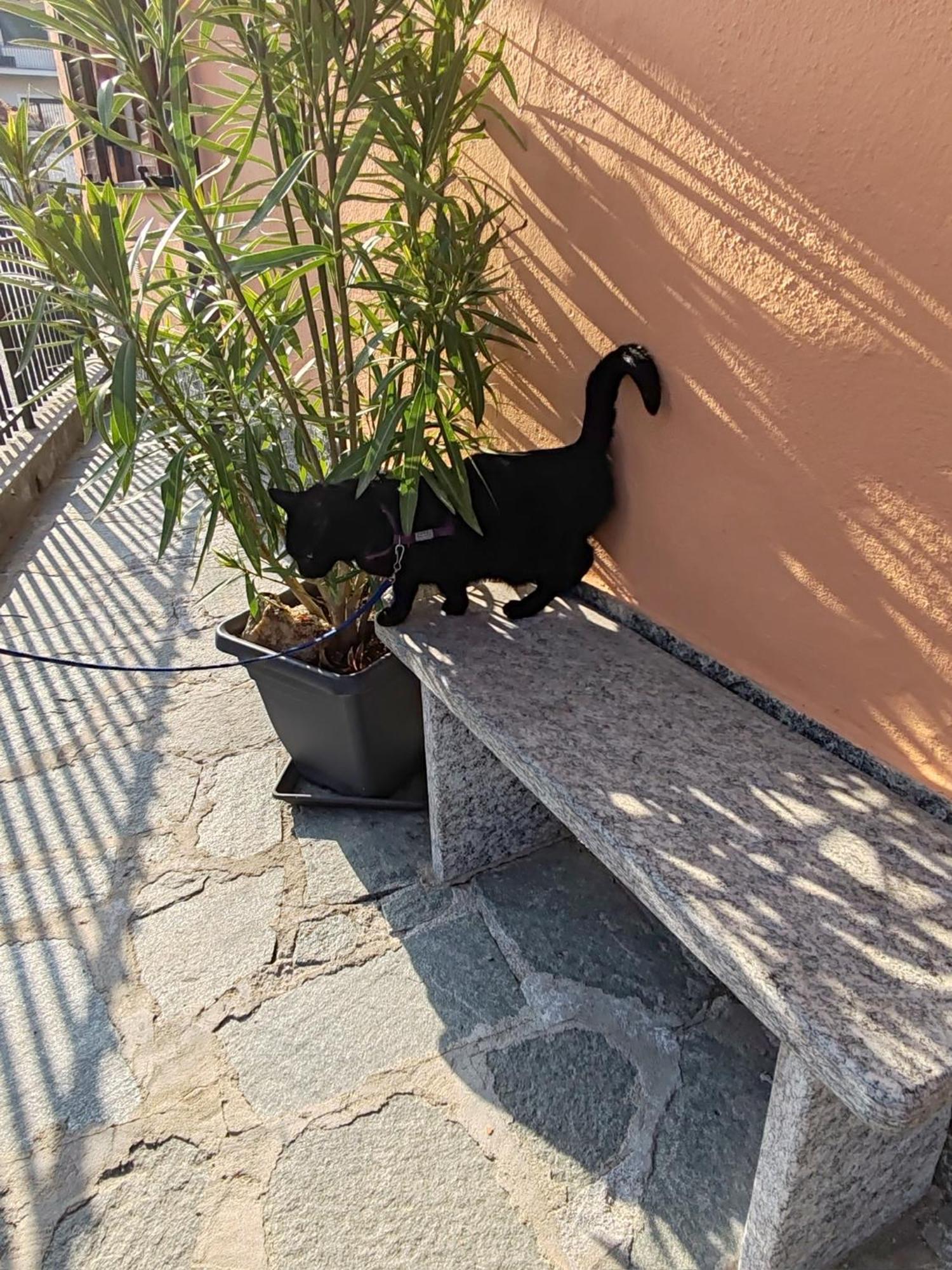 Apartment Ca Dai Noni Feriolo Esterno foto